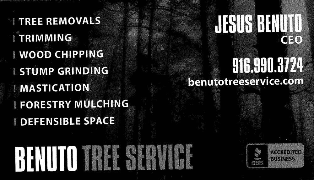 Benuto Tree Service  image